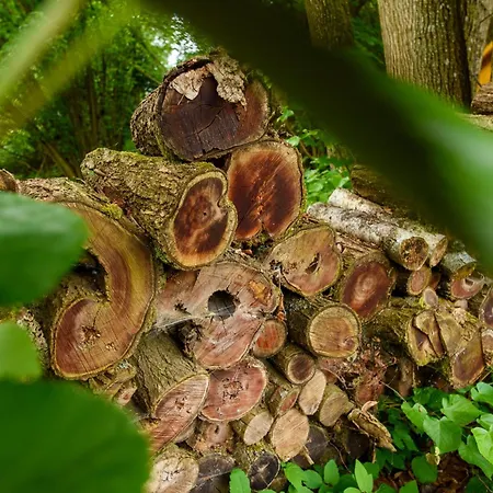 Auri / Huette Auri קפליצה